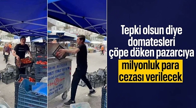 Çorum'da domatesleri çöpe döken pazarcıya milyonluk para cezası