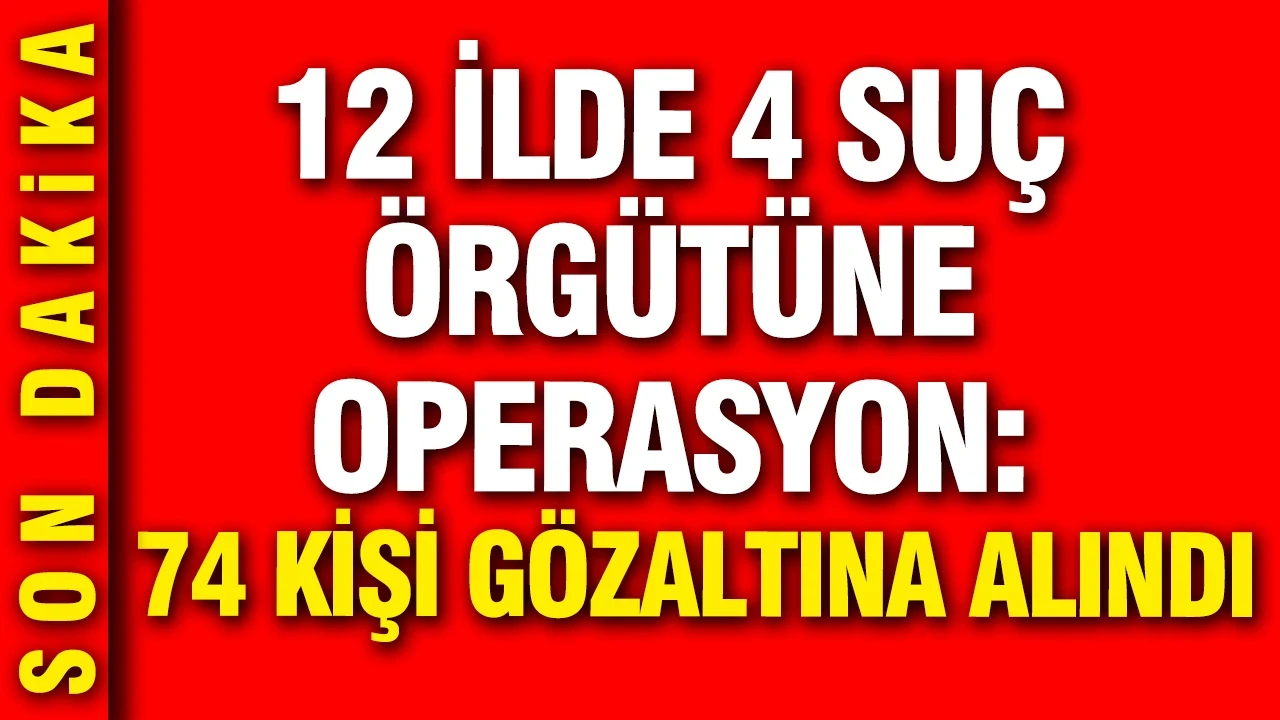 İstanbul merkezli 12 ilde 4 ayrı suç örgütüne operasyon: 74 gözaltı